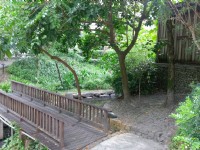 湯圍溝溫泉公園<br/> 攝影：Eva隨手拍