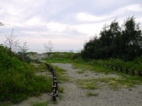 濱海通道<br/> 攝影：三井