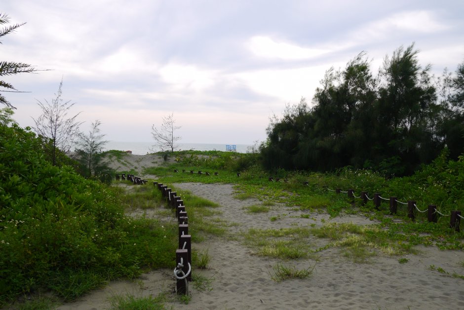 濱海通道 攝影：三井