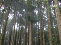 野馬瞰山步道<br/> 攝影：Lu