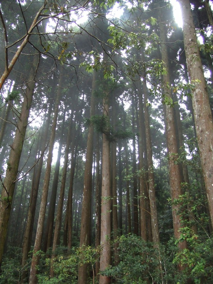 野馬瞰山步道 攝影：Lu