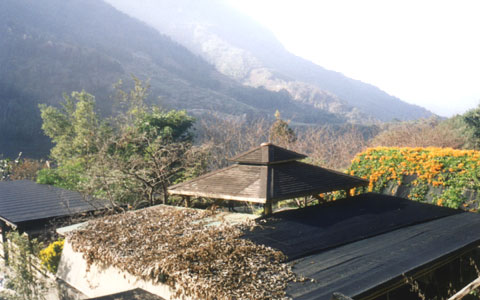 沙里仙溫泉農場一景 攝影：南投縣政府