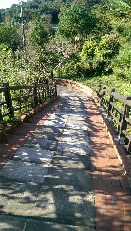 台北找茶園 攝影：Eva隨手拍