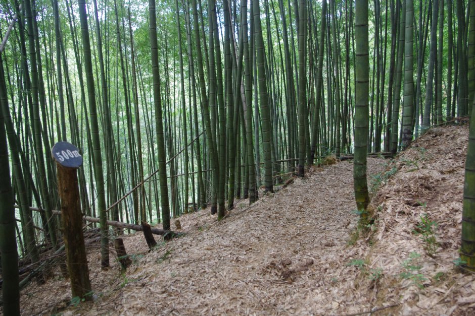 木馬古道 攝影：Eva隨手拍