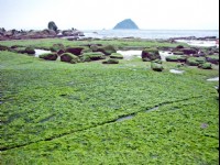 和平島公園<br/> 攝影：Eva隨手拍