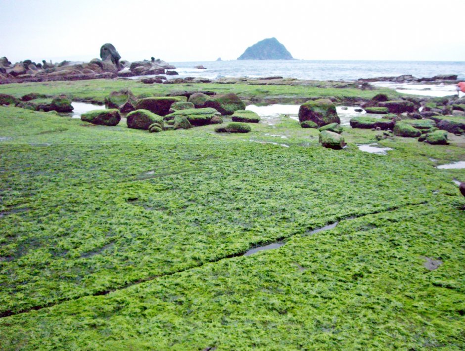 和平島公園 攝影：Eva隨手拍