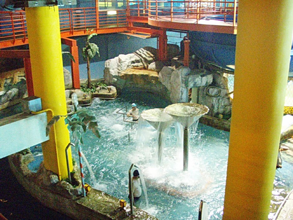 水池區 攝影：鄭瑄頤