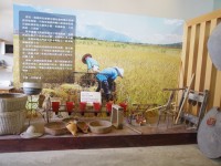 金色豐收館<br/> 攝影：Eva隨手拍