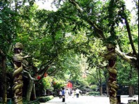 入口龍柱<br/> 攝影：方盛文