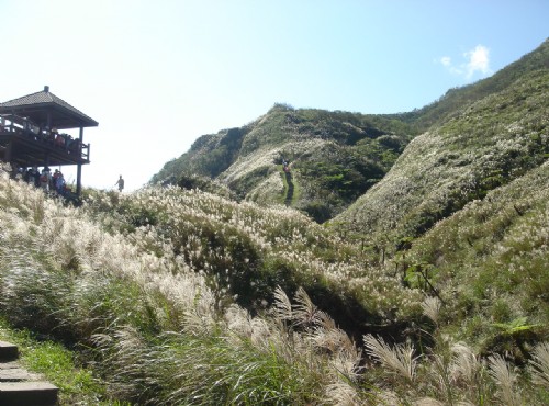 草嶺古道