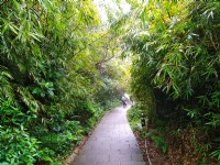 硬漢嶺登山步道<br/> 攝影：Lu
