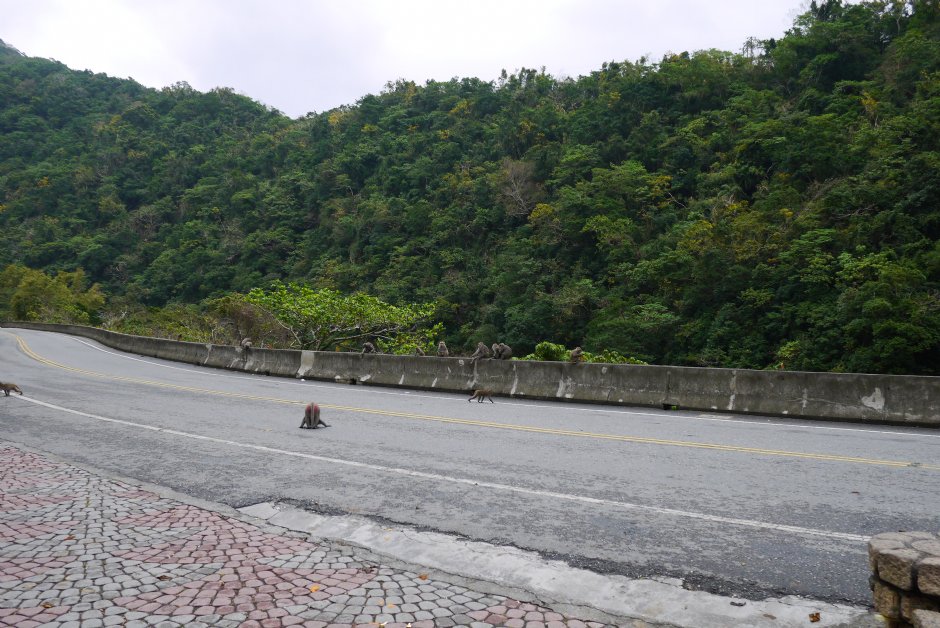 登仙橋休憩區 攝影：旅遊王攝影組
