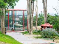 森林<br/> 攝影：百果山探索樂園