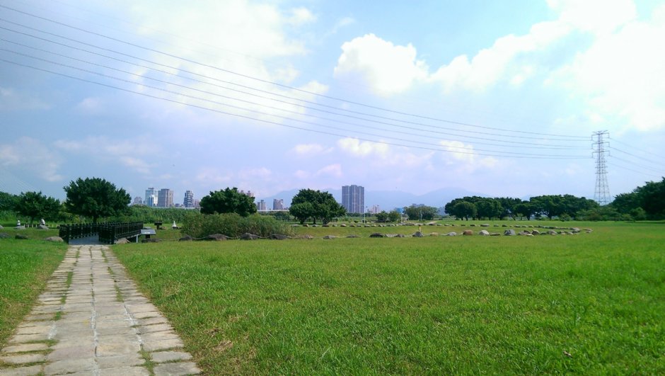 華江雁鴨自然公園 攝影：Eva隨手拍