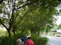鳥松濕地公園沿湖步道<br/> 攝影：三井
