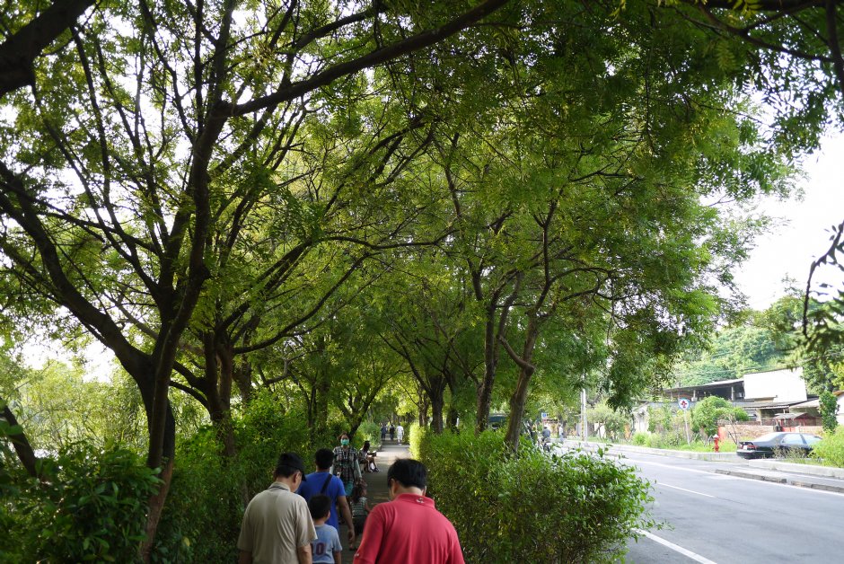 鳥松濕地公園沿湖步道 攝影：三井