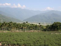 舞鶴台地觀紅葉溪景觀<br/> 攝影：老山羊部落格
