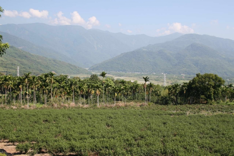 舞鶴台地觀紅葉溪景觀 攝影：老山羊部落格
