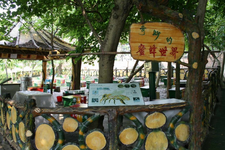 蜜蜂世界 攝影：老山羊部落格