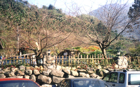 沙里仙溫泉農場一景 攝影：南投縣政府