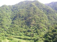 高聳山座<br/> 攝影：老山羊資訊網