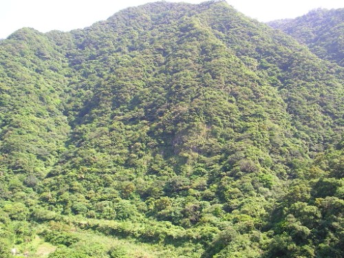 高聳山座 攝影：老山羊資訊網