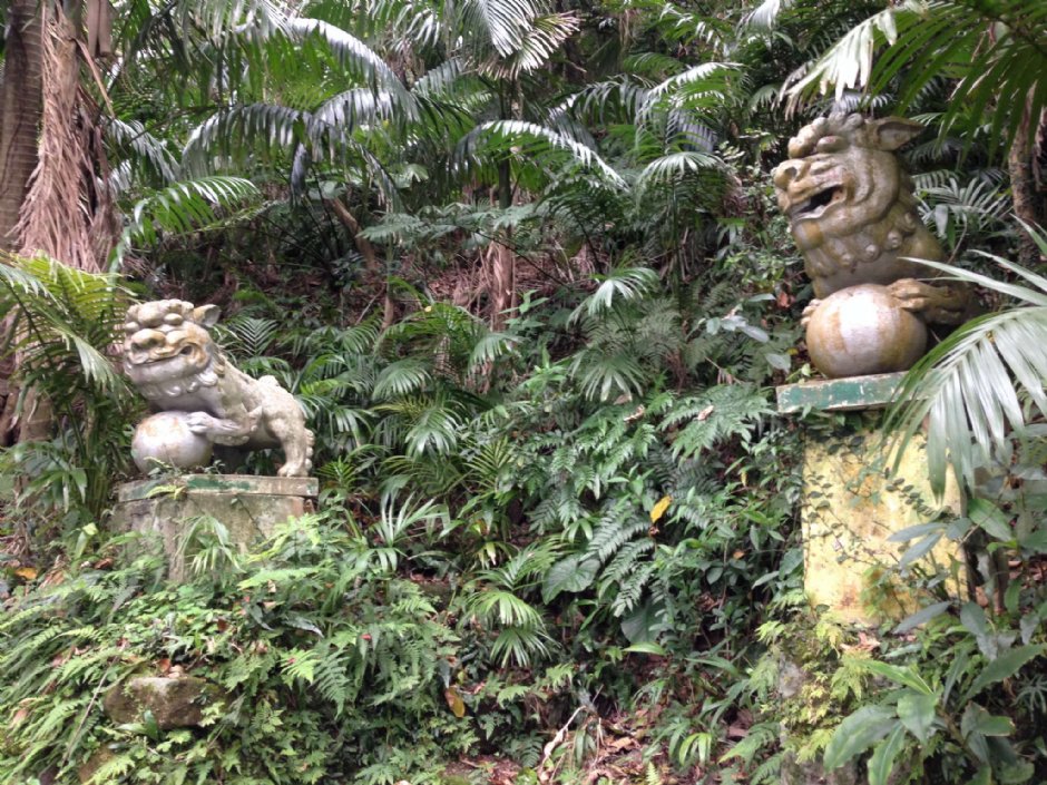 仙跡岩 攝影：陳皮梅