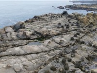 和平島公園<br/> 攝影：Eva隨手拍