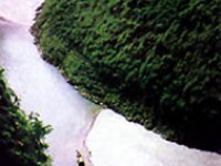 滴翠峽<br/> 攝影：四川旅遊信息網