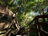 園區內步道<br/> 攝影：桃園市政府觀光旅遊局 提供