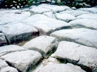 棋盤石一景<br/> 攝影：南投縣政府