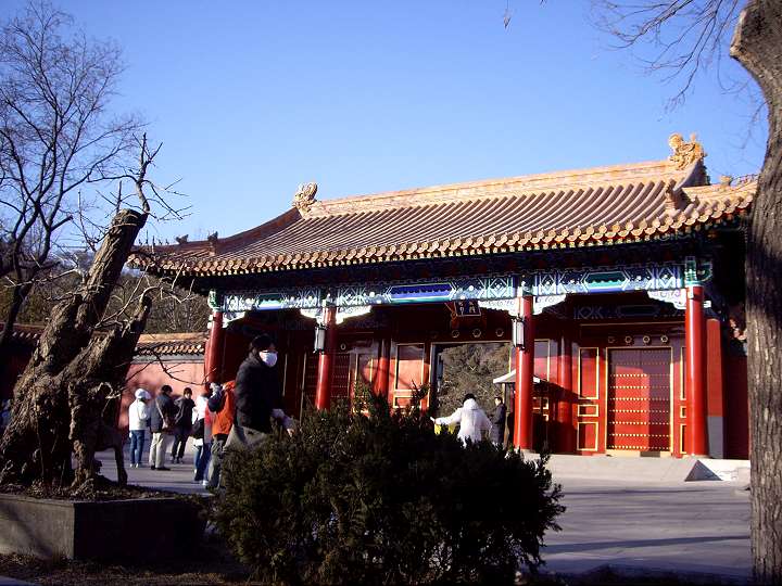 景山公園 攝影：Eva