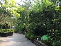 台北典藏植物园<br/> 摄影：Eva隨手拍
