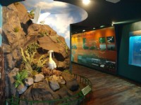 展示館包含「常態展示區」、「多媒體室」等空間<br/> 攝影：照片來源_台南旅遊網