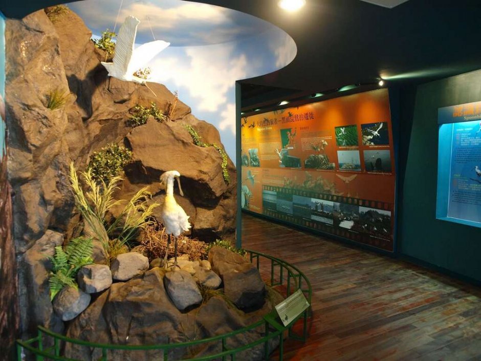 展示館包含「常態展示區」、「多媒體室」等空間 攝影：照片來源_台南旅遊網