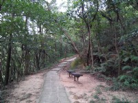 鯉魚山親山步道<br/> 攝影：Lu