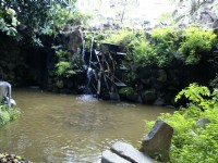 板橋農村公園<br/> 攝影：Eva隨手拍