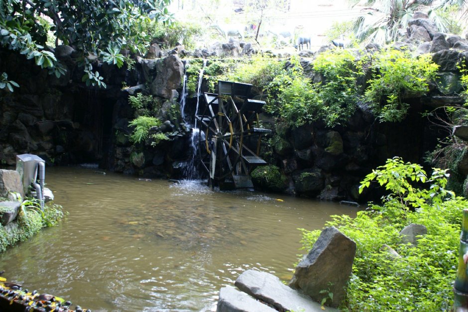 板橋農村公園 攝影：Eva隨手拍