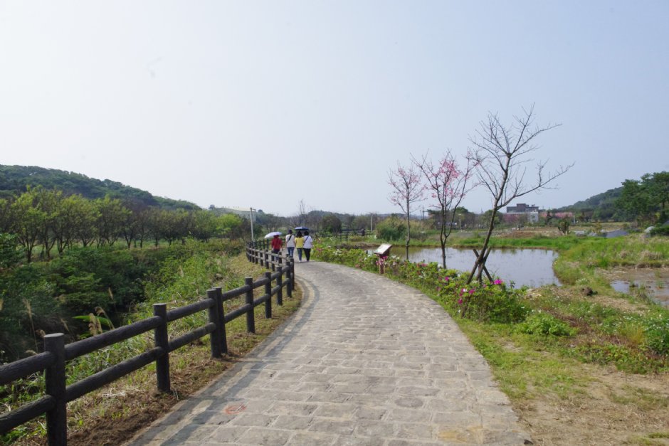 大坑溪三生步道 攝影：Eva隨手拍
