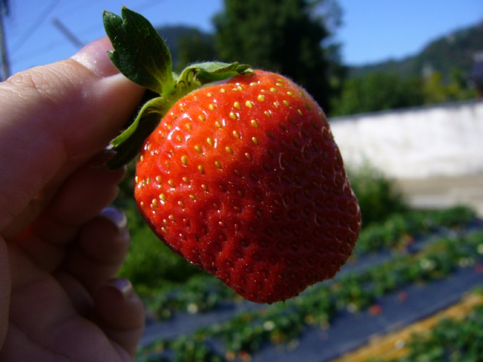 Photo:林玉婷