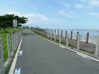 台开心农场(洄澜湾开心农场)<br/> 摄影：Eva隨手拍