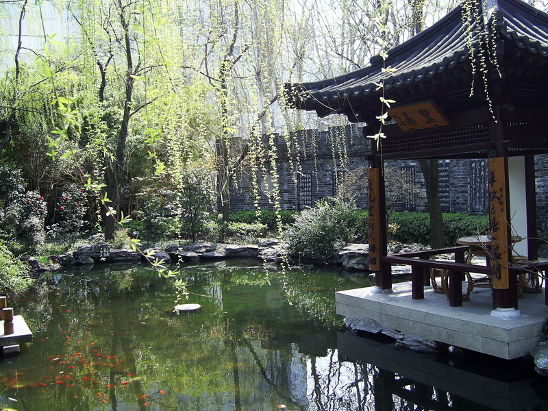靜安公園-湖畔涼亭 攝影：陳李豪