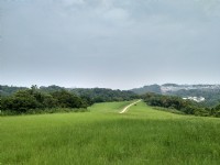 青青草原<br/> 摄影：Lu