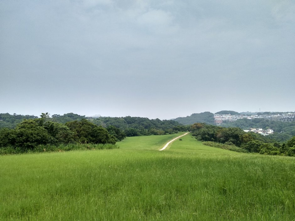 青青草原 摄影：Lu