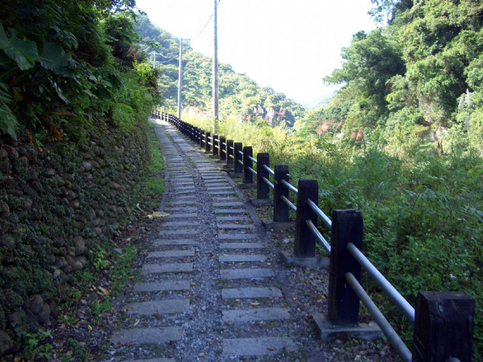 森林步道與山色 攝影：鄭惠文