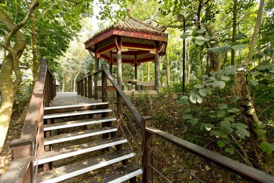虎形山公園 攝影：照片來源_台南市觀旅局