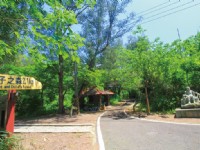 濱海森林公園-親子之森<br/> 攝影：圖片來源_苗栗文化觀光旅遊網