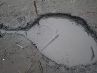 羅山泥火山<br/> 攝影：旅遊王攝影組