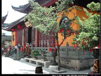 樹上掛滿祈福的布條<br/> 攝影：社群_到處走走