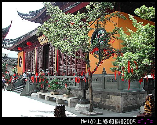 樹上掛滿祈福的布條 攝影：社群_到處走走